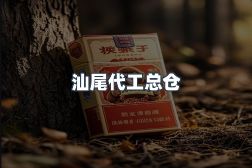 汕尾代工总仓